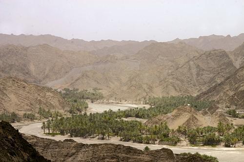 روایت تلخ فرزندان مردان چند زنه ، 15 درصد زنان سیستان و بلوچستان روایت تلخ فرزندان مردان چند زنه ، 15 درصد زنان سیستان و بلوچستان شوهر چند زنه دارند