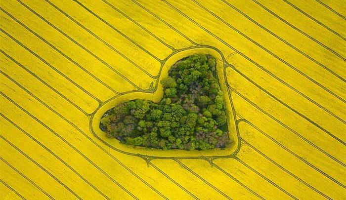 هر روز به همسرتان بگویید دوستت دارم